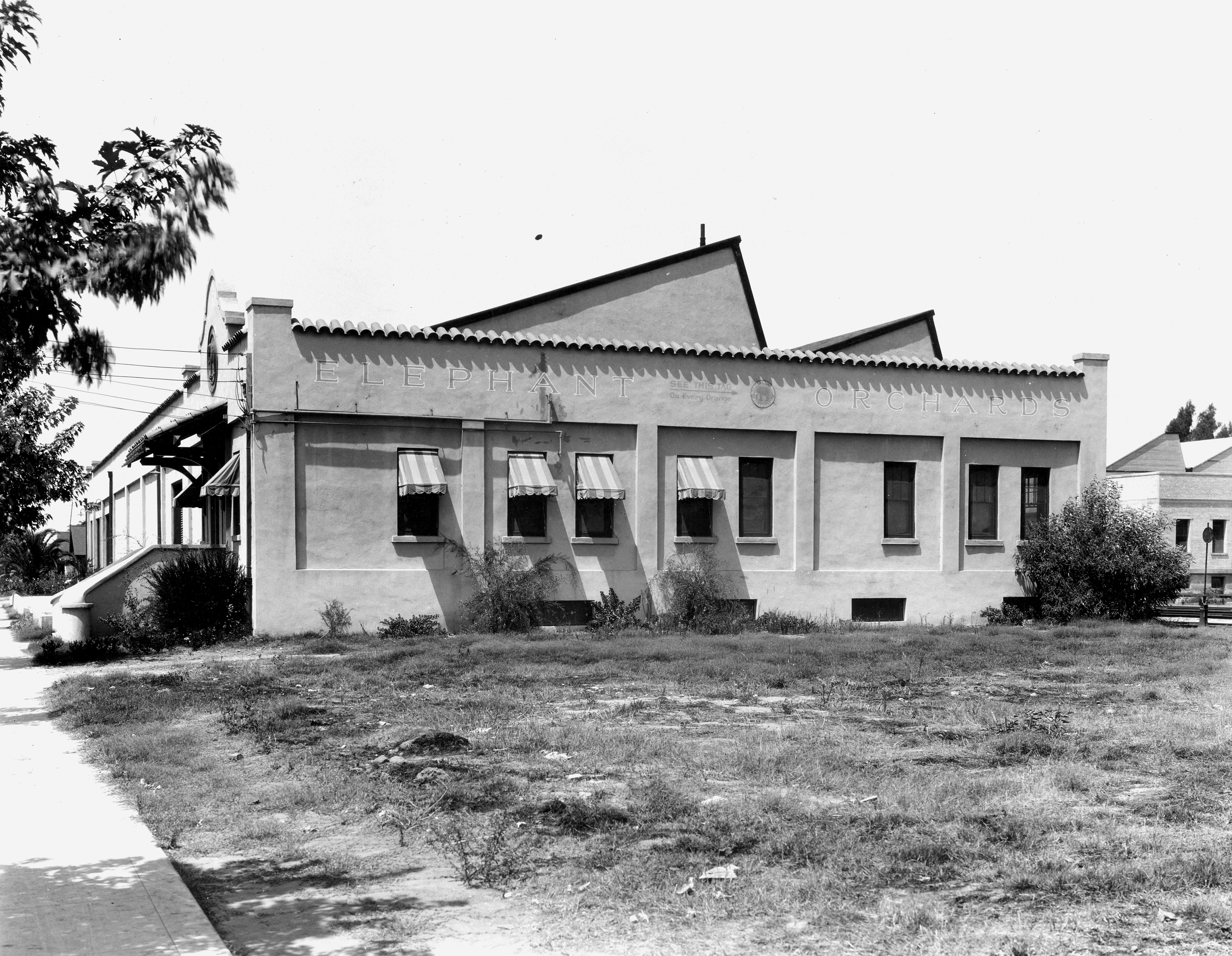 A black and white photograph of the south side exterior of the Elephant Packing House in 1927.