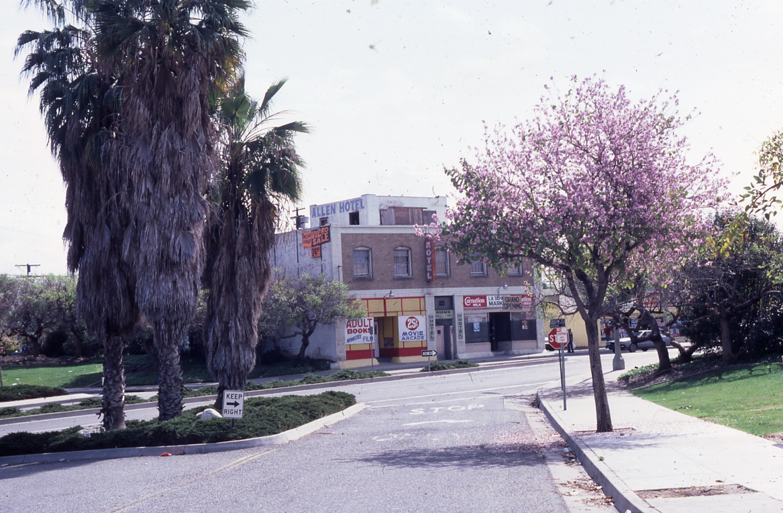 A colored photo of the street scene for the De Luxe Hotel in 1984.