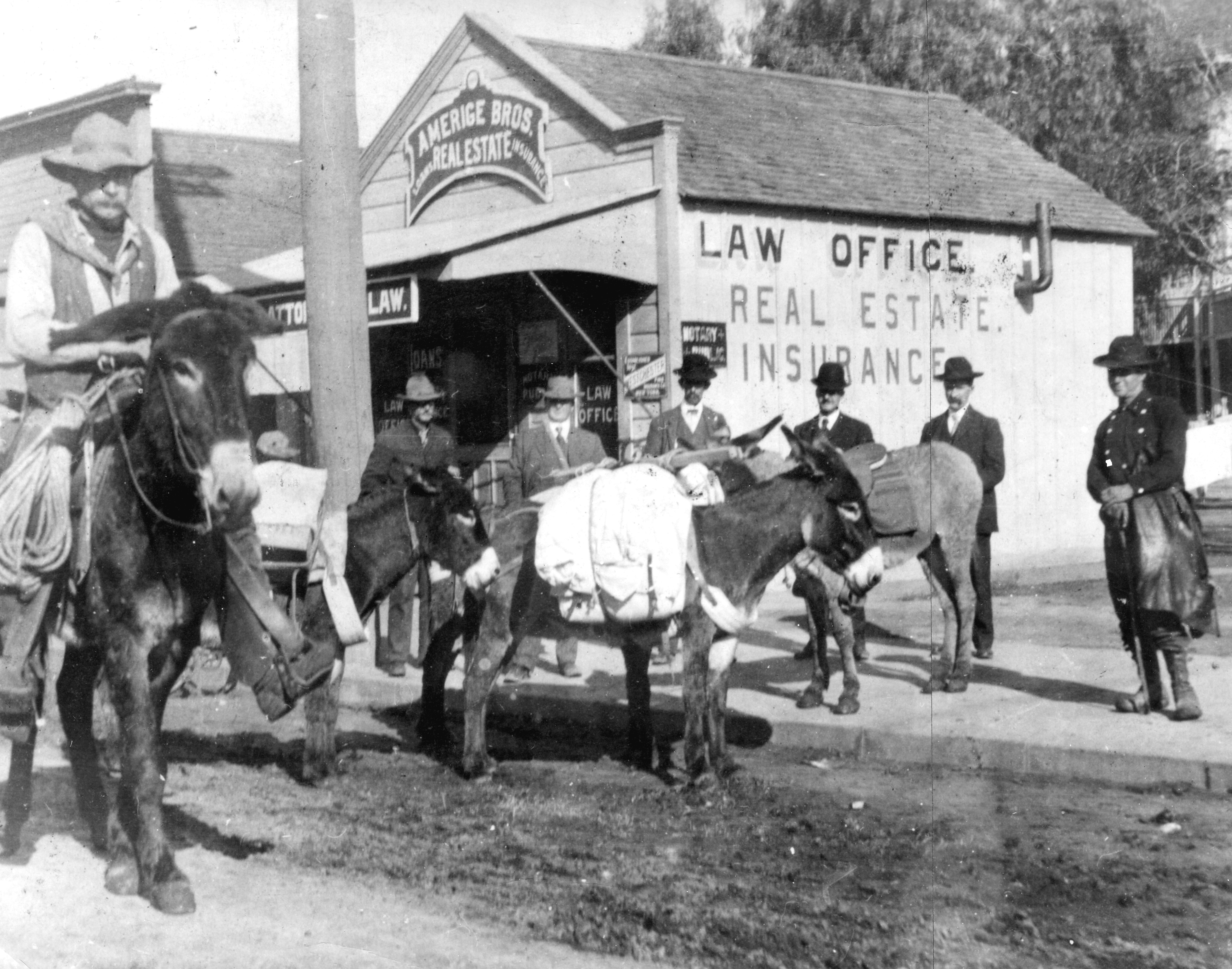 A black and white photograph of a group of men with horses waiting outside the office.