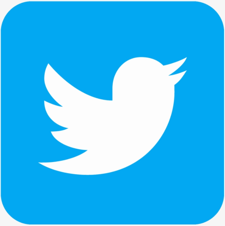 twitter logo