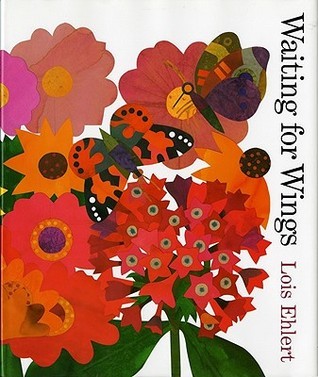 Book-cover-for-Waiting-for-wings-by-Lois-Ehlert