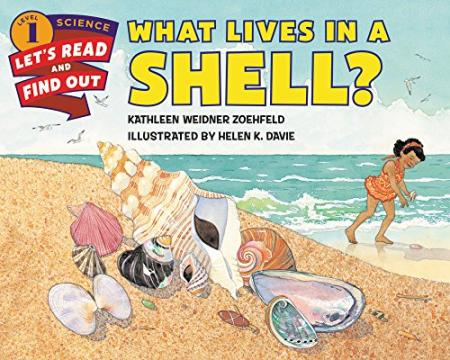 Book-cover-for-What-lives-in-a-shell-by-Kathleen-Weidner-Zoehfeld