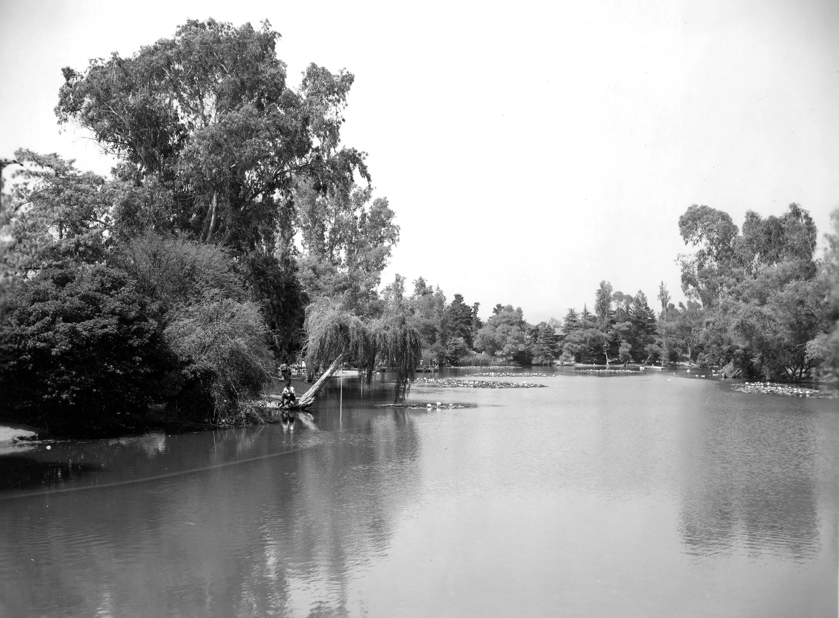 #12 (Park, Laguna 2 D)