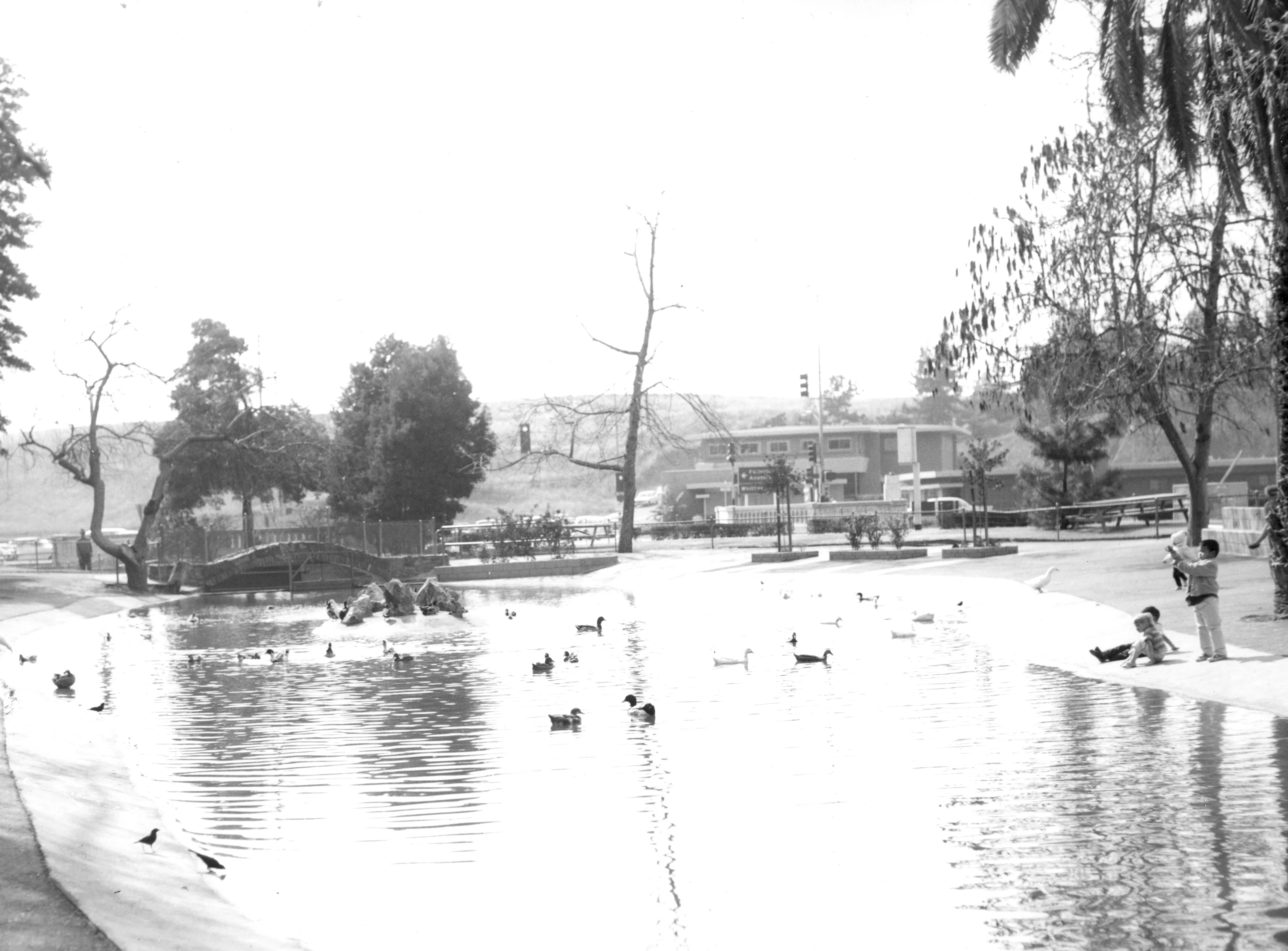 A black and white photograph of the duck pond at Hillcrest Park, taken in the 1960s.