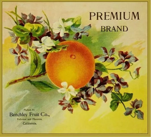 A colored image of the Benchley Fruit Co. crate label. The top right corner reads: Premium Brand. The bottom left corner reads: Packed by Benchley Fruit Co., Fullerton and Placentia, California.