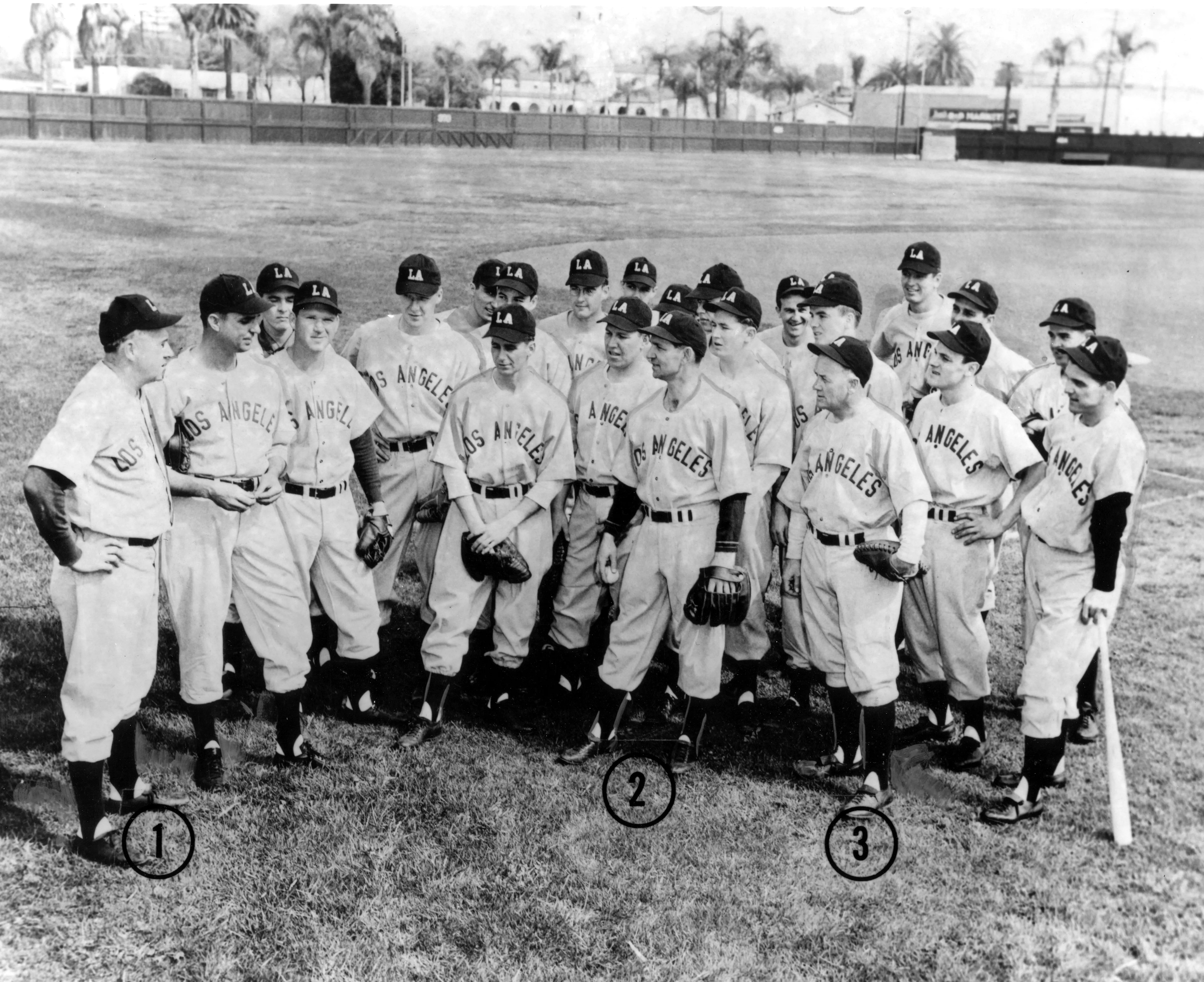 A black and white photograph of the Los Angeles Angels training at Amerige Park in 1949.