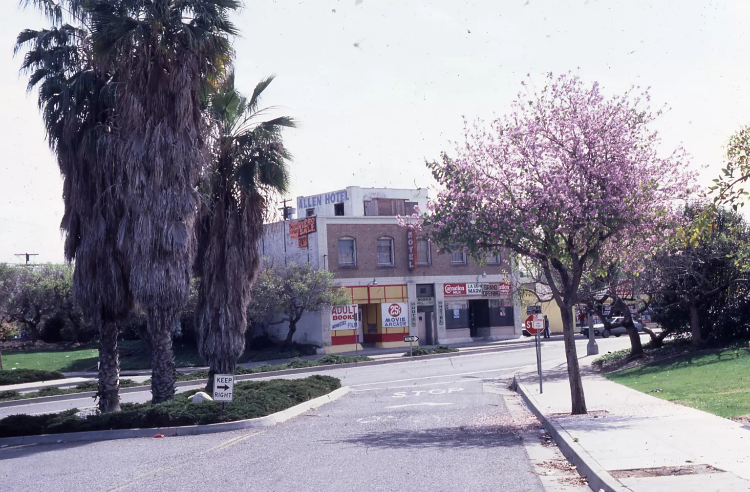 A colored photo of the street scene for the De Luxe Hotel in 1984.