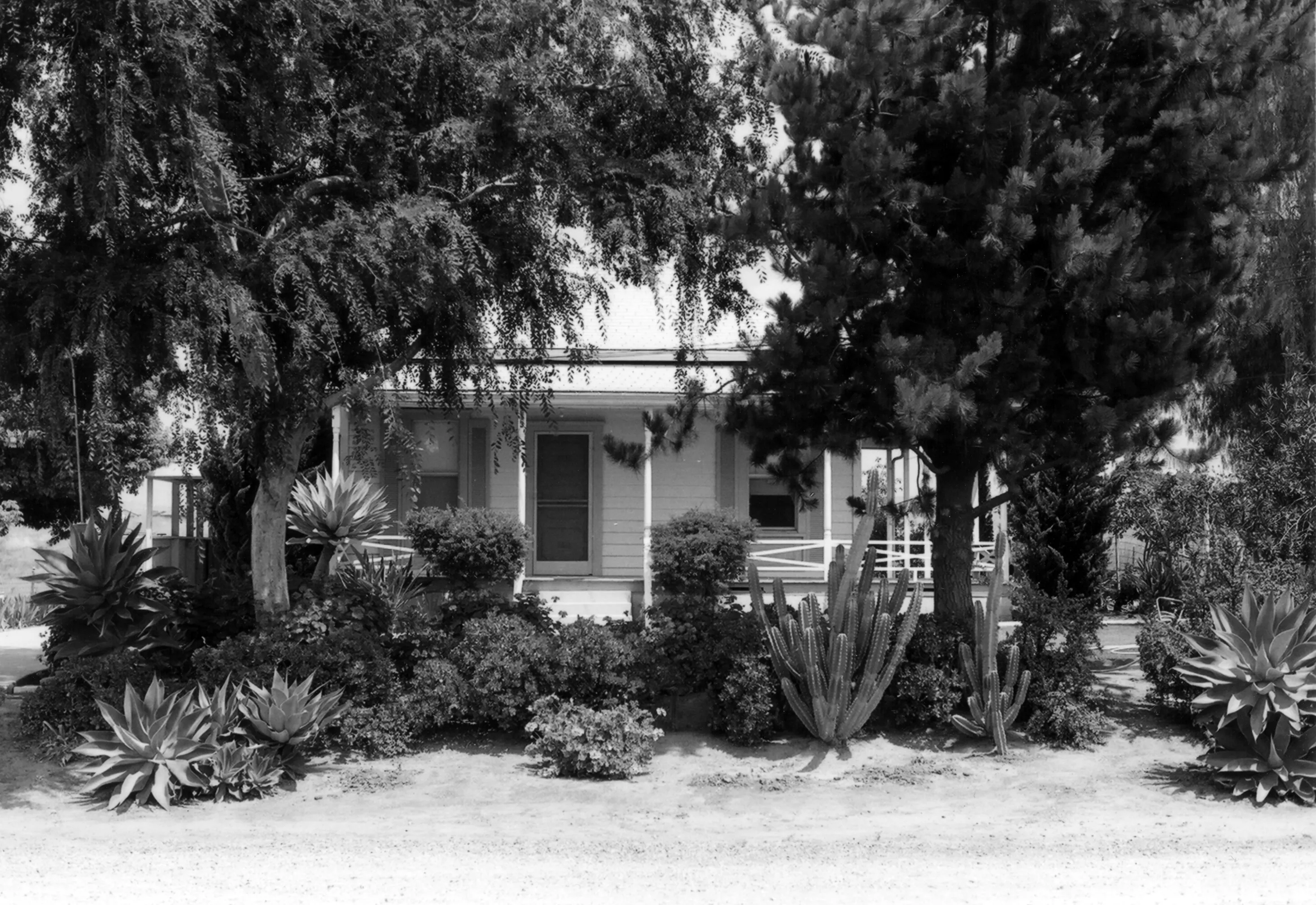 A black and white photograph of the front garden of the Jacob Stern Ranch/Noutary House in 1978.
