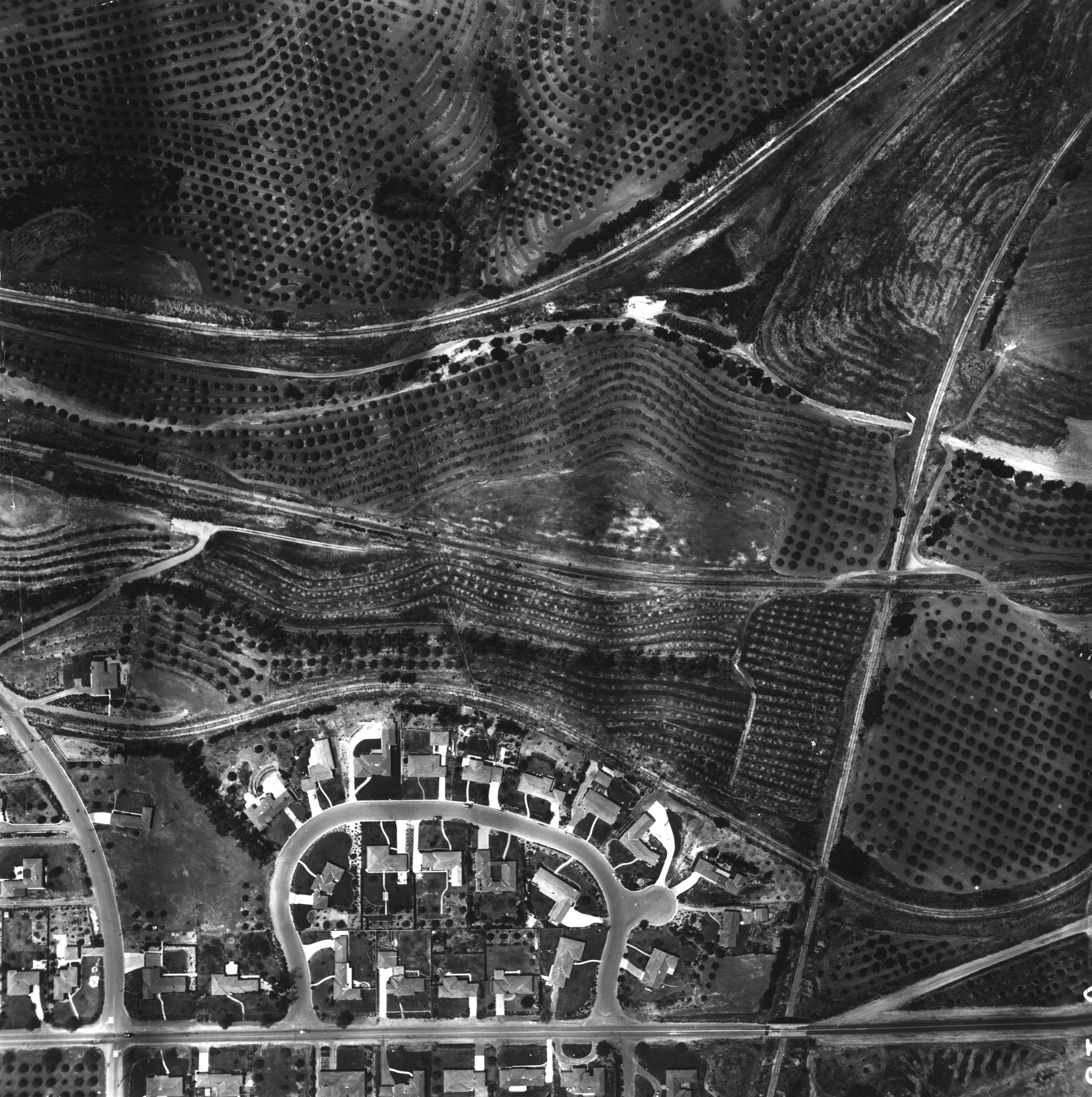 A digital scan of an aerial view of the Bastanchury Ranch area in 1952.