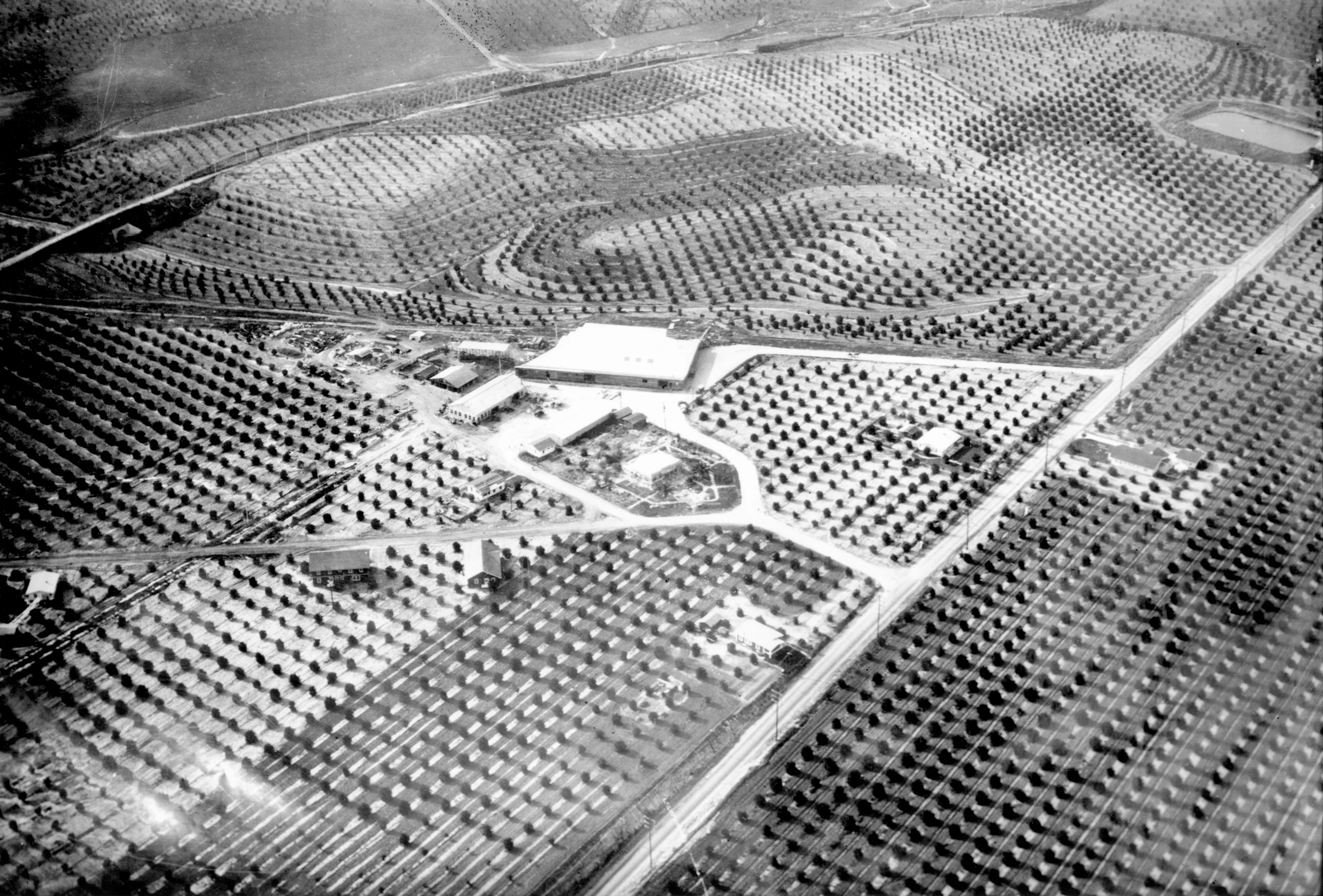 Bast Ranch_Aerial Views 93 A