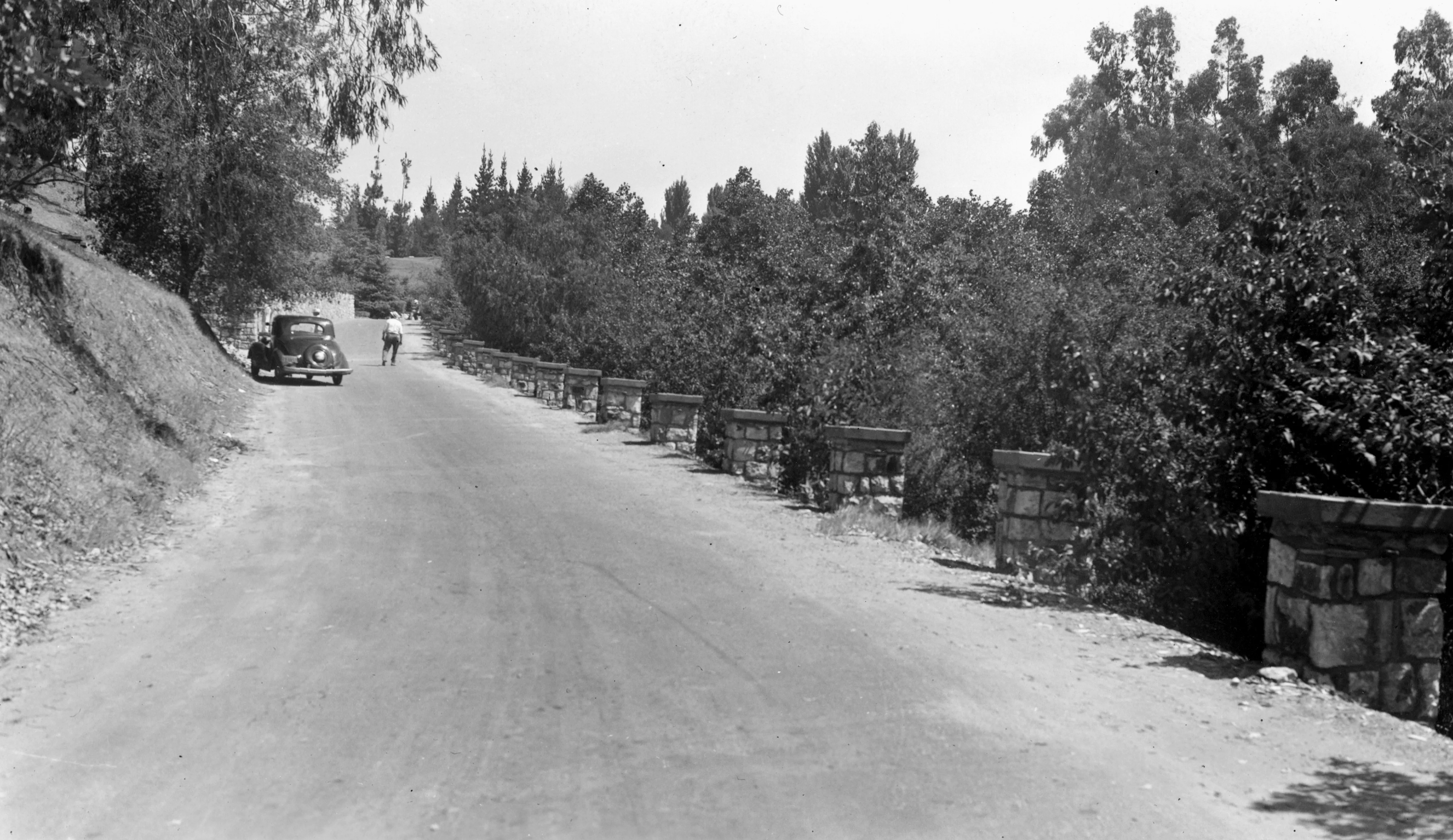 9 (Park, Hillcrest 79)