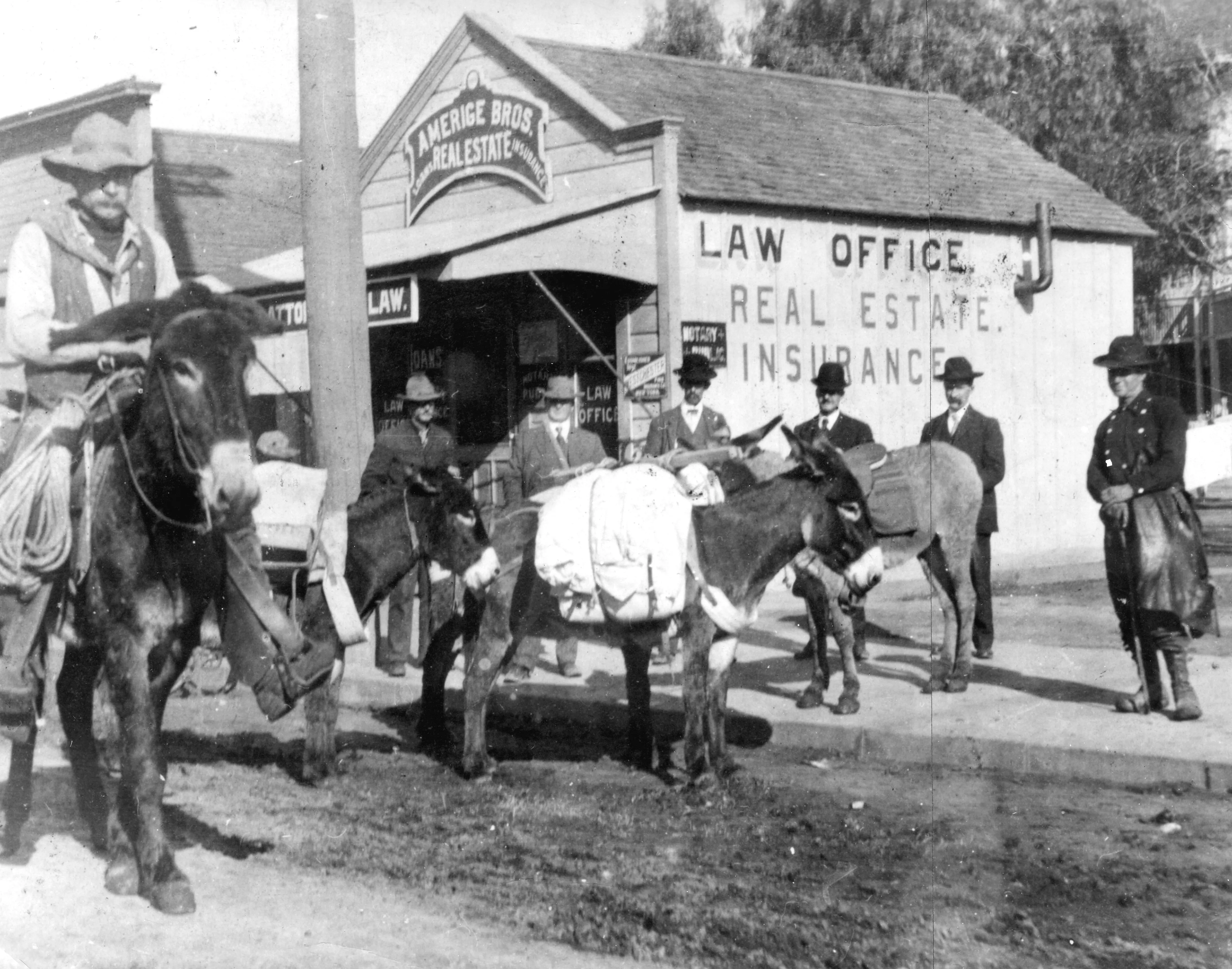 A black and white photograph of a group of men with horses waiting outside the office.