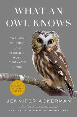 What an owl knows