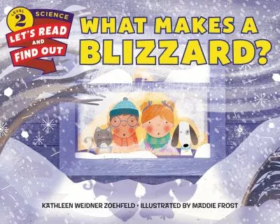 What makes a blizzard?