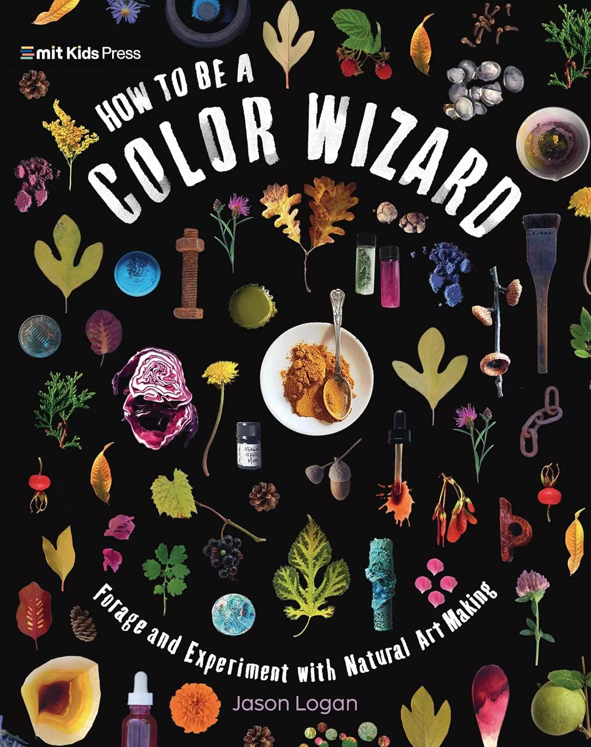 Cover of How to Be a Color Wizard by Jason Logan depicting various brightly colored natural materials on a black background.