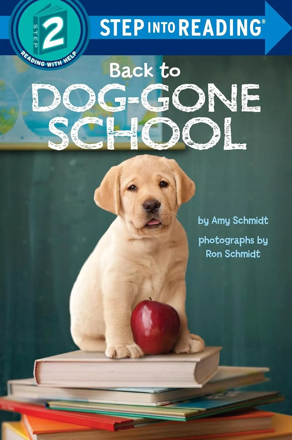 Cover of Back to Dog-Gone School by Amy Schmidt.