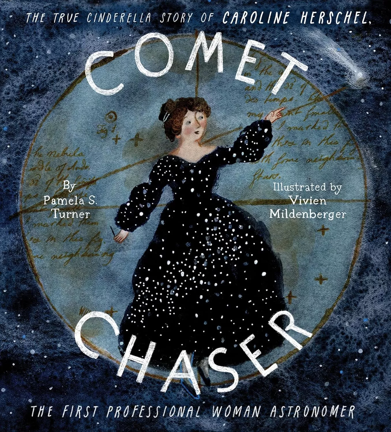 Cover of Comet Chaser by Pamela Turner.