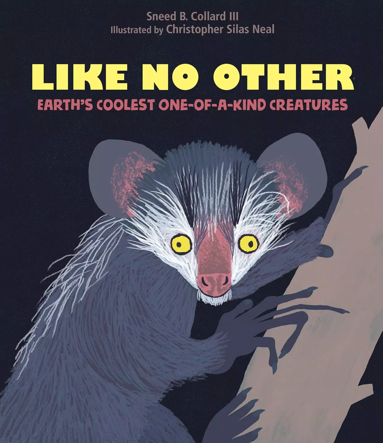 Cover of Like No Other by Sneed B. Collard