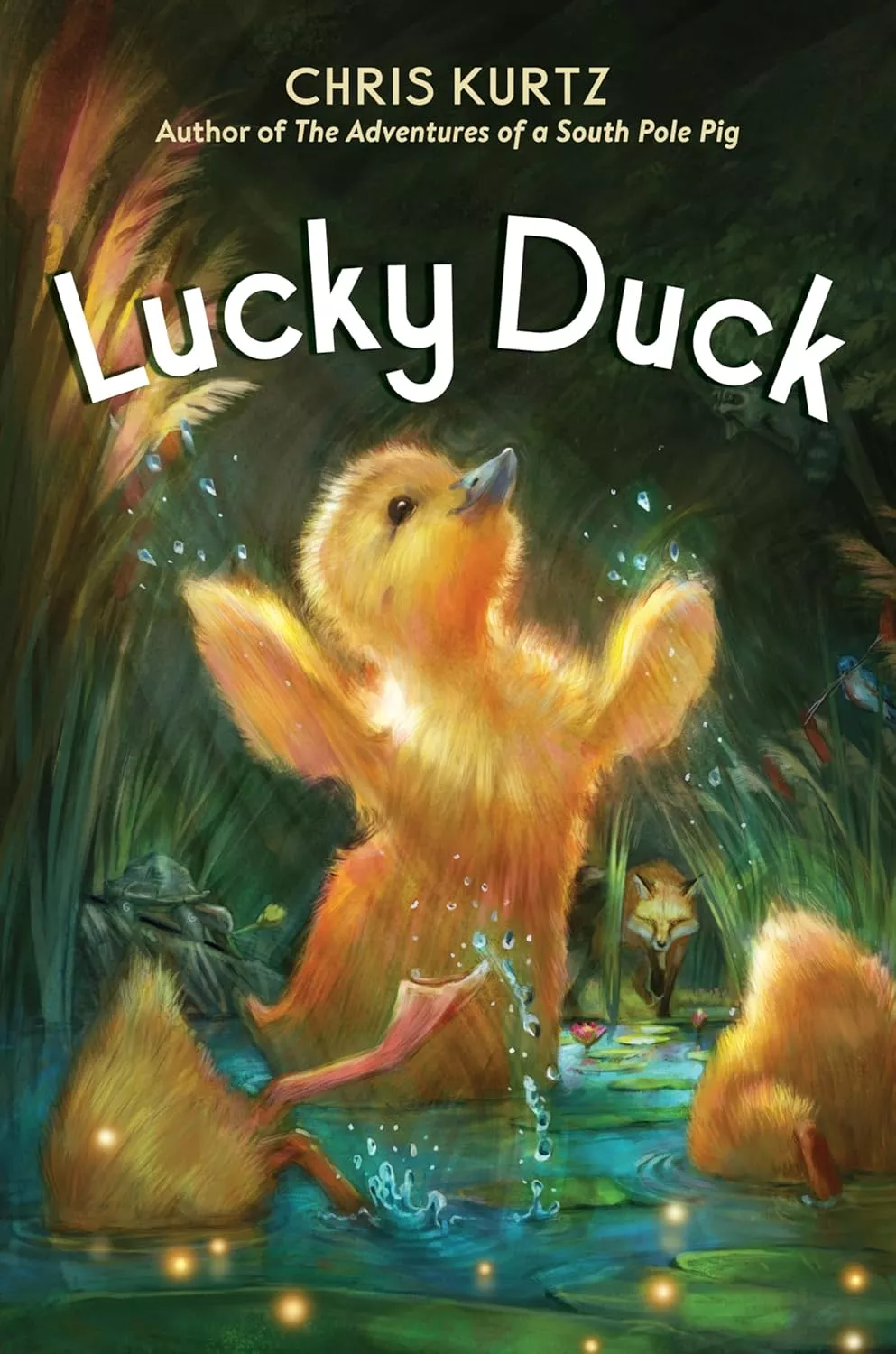 Cover of Lucky Duck by Chris Kurtz.