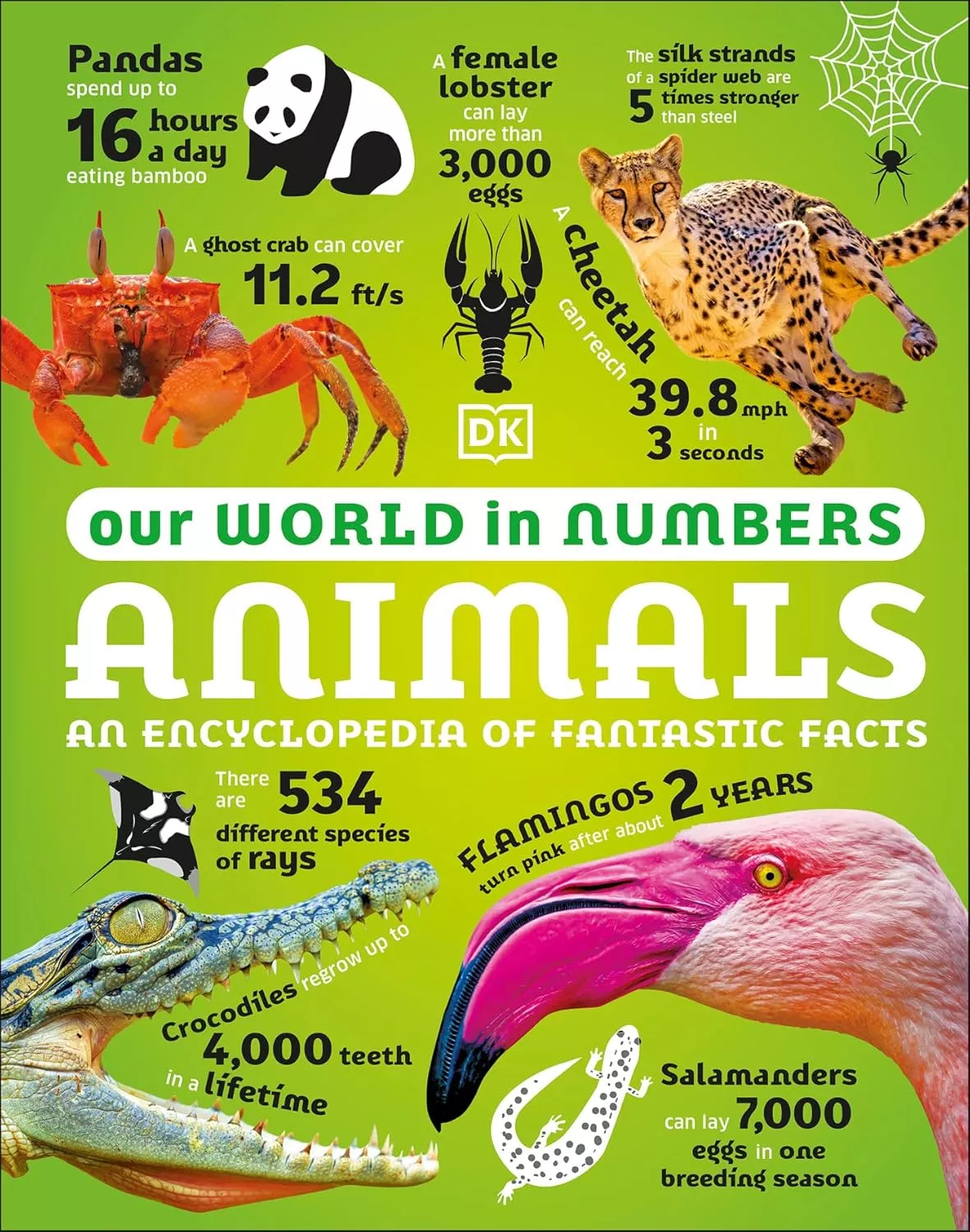 Cover of Our World in Numbers Animals by Richard Mead.