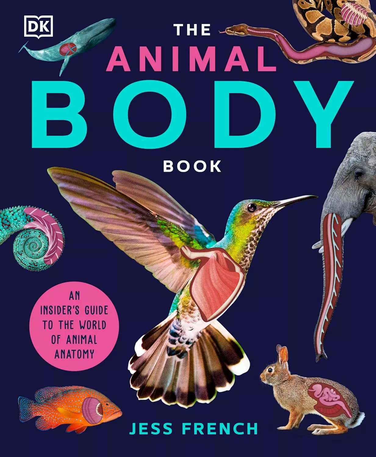 Cover of The Animal Body Book by Jess French.