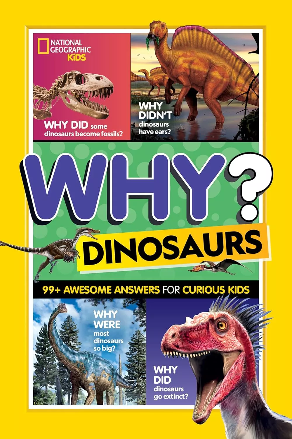 Cover of Why? Dinosaurs by National Geographic Kids.