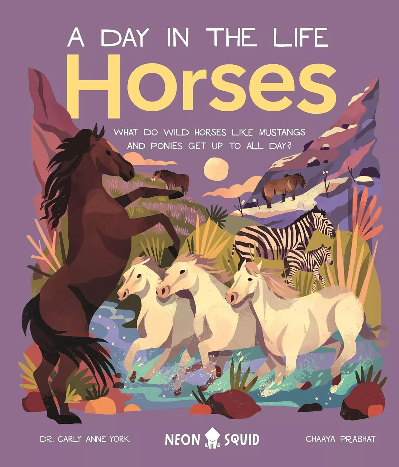 Cover of A Day in the Life: Horses. What Do Wild Horses like Mustangs and Ponies Get Up To All Day?