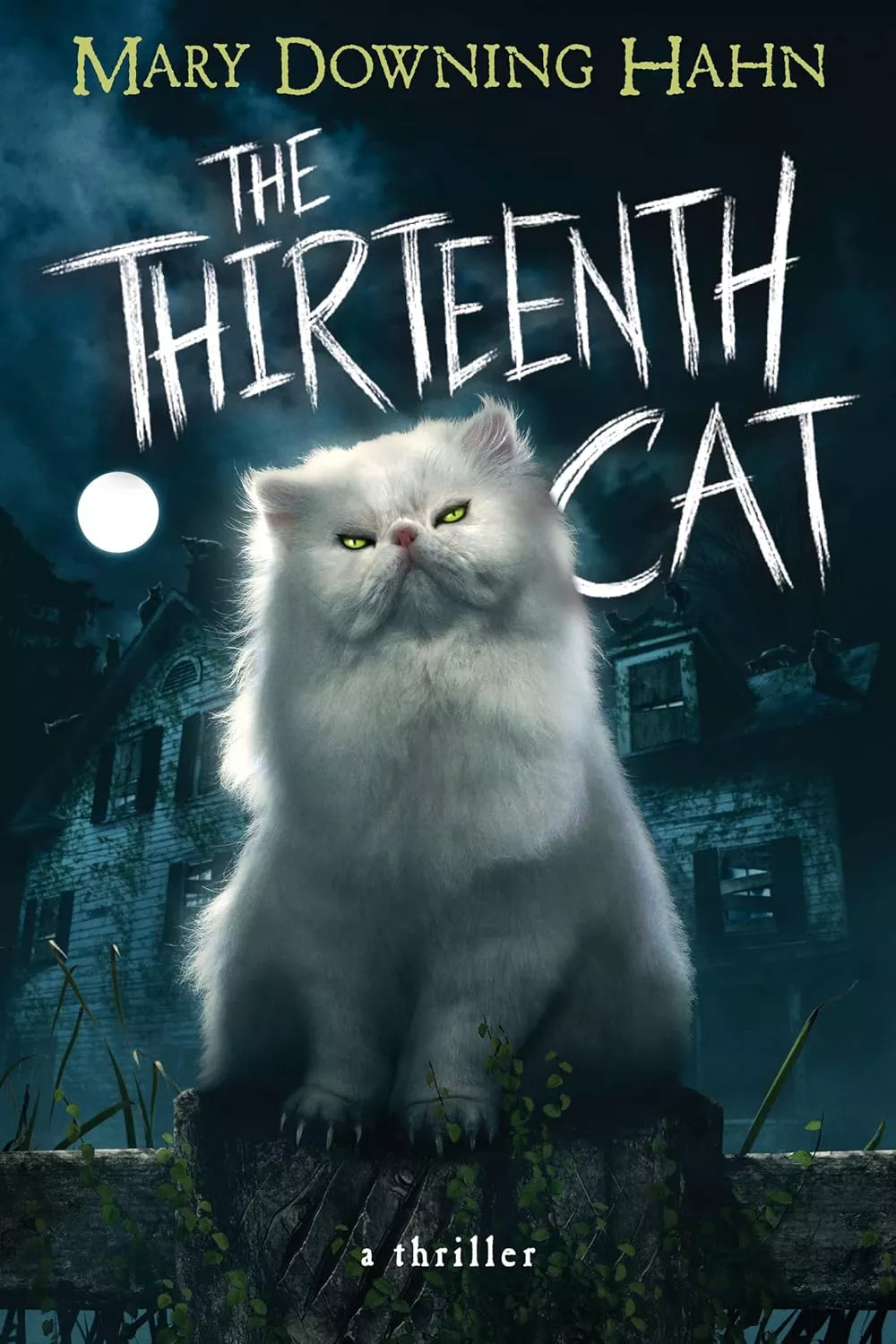 Cover of The Thirteenth Cat by Mary Downing-Hahn.