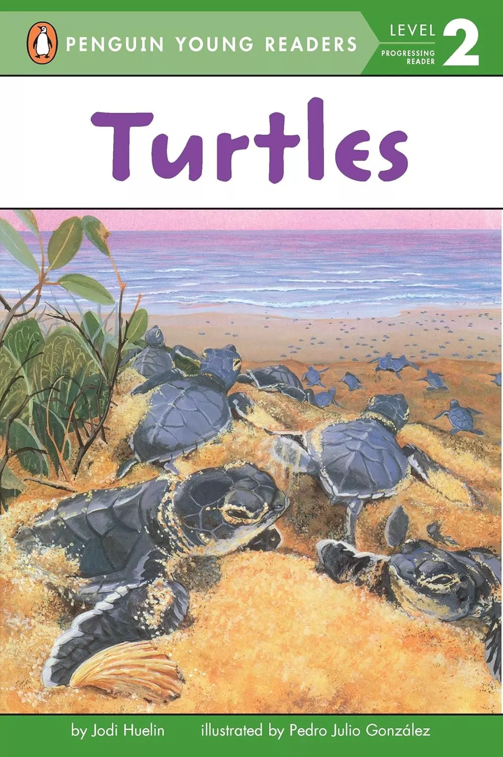 Cover of Turtles by Jodi Huelin.