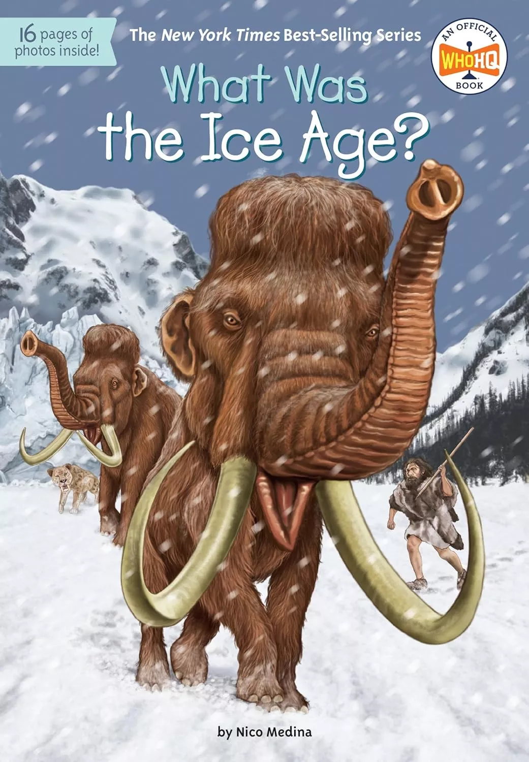 Cover of What Was the Ice Age?