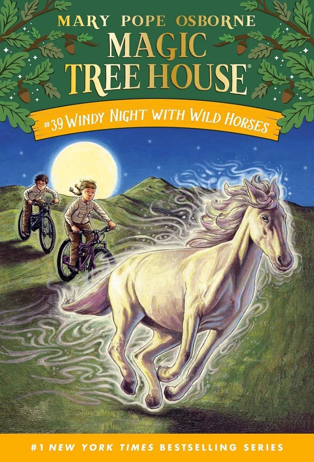 Cover of Magic Treehouse: Windy Night with Wild Horses by Mary Pope Osborne.