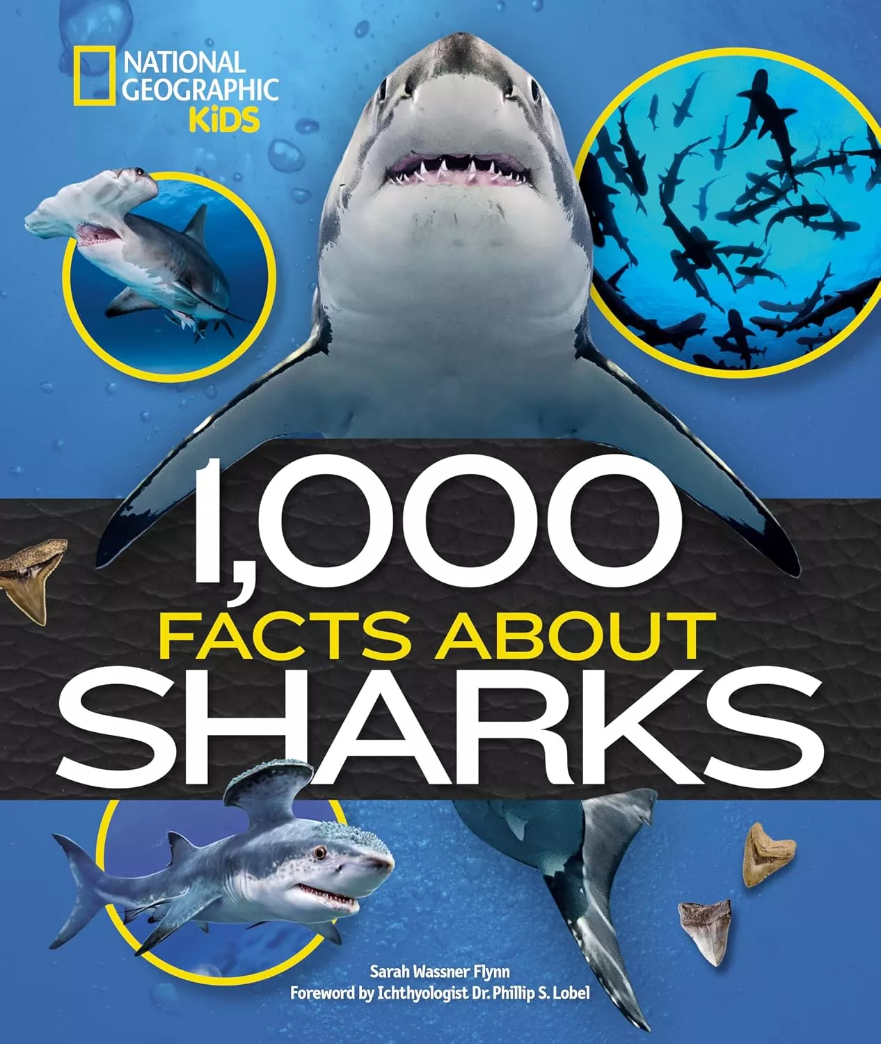 Cover of National Geographic Kids: 1,000 Facts About Sharks by Sarah Wassner Flynn.