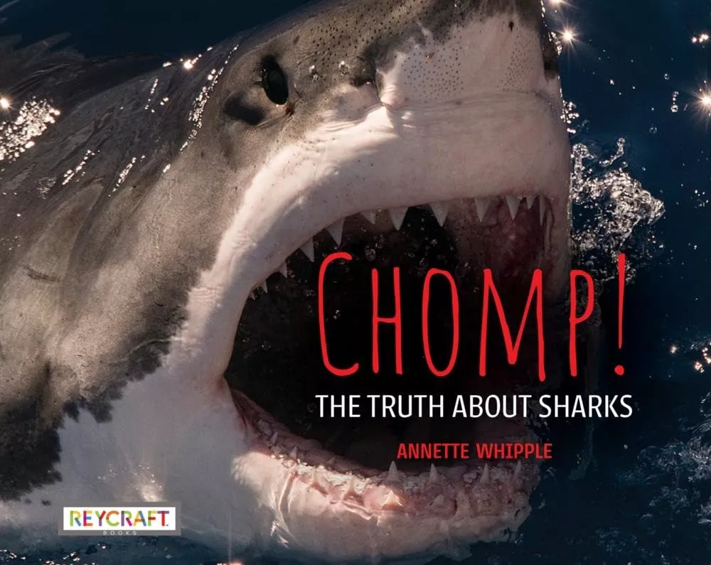 Cover of Chomp! The Truth About Sharks by Annette Whipple.