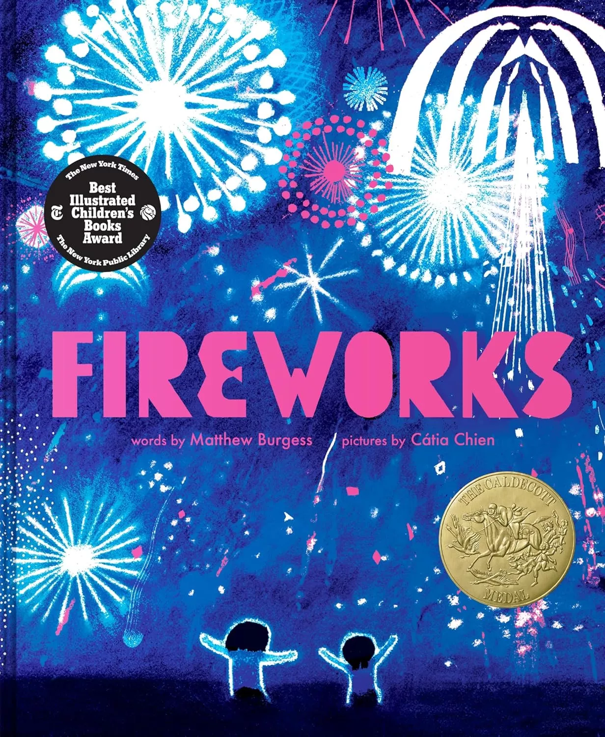 Cover of  Fireworks by Matthew Burgess
