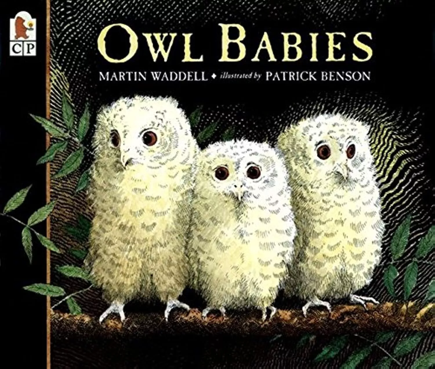 Cover of Owl Babies by Martin Waddell. 