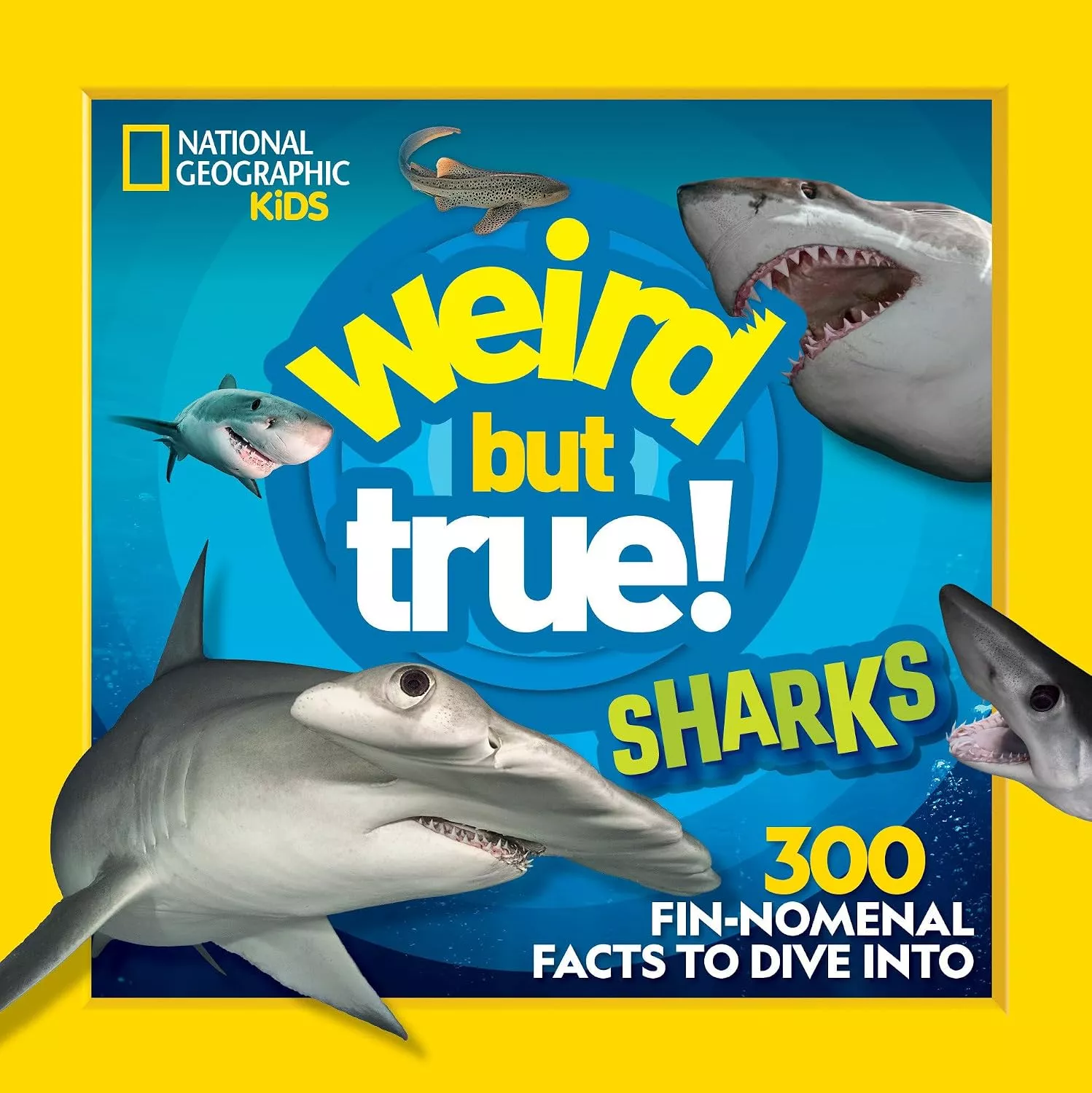 Cover of National Geographic Kids: 1,000 Facts About Sharks by Sarah Wassner Flynn.