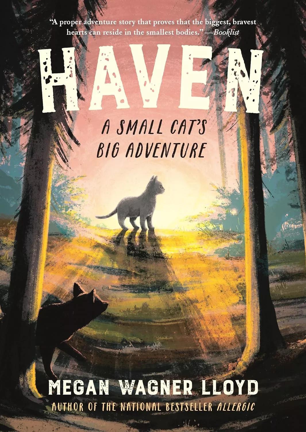 Cover of Haven: A Small Cat’s Big Adventure by Megan Wagner Lloyd.