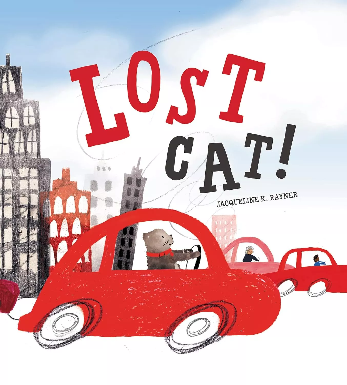 Cover of Lost Cat! by Jacqueline K. Rayner.