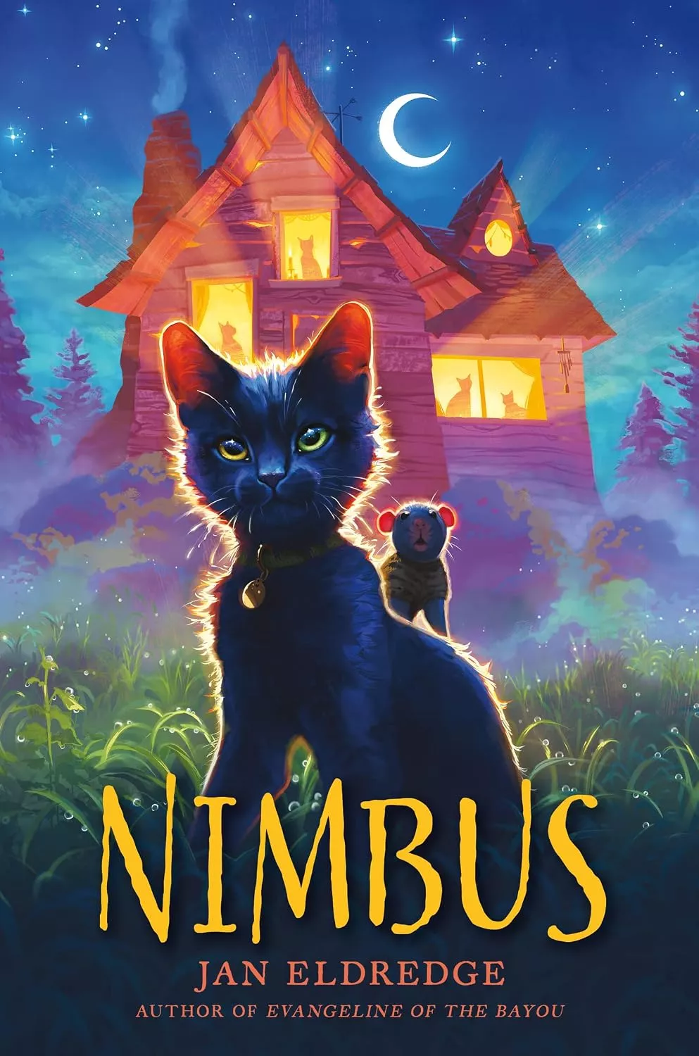 Cover of Nimbus by Jan Eldredge