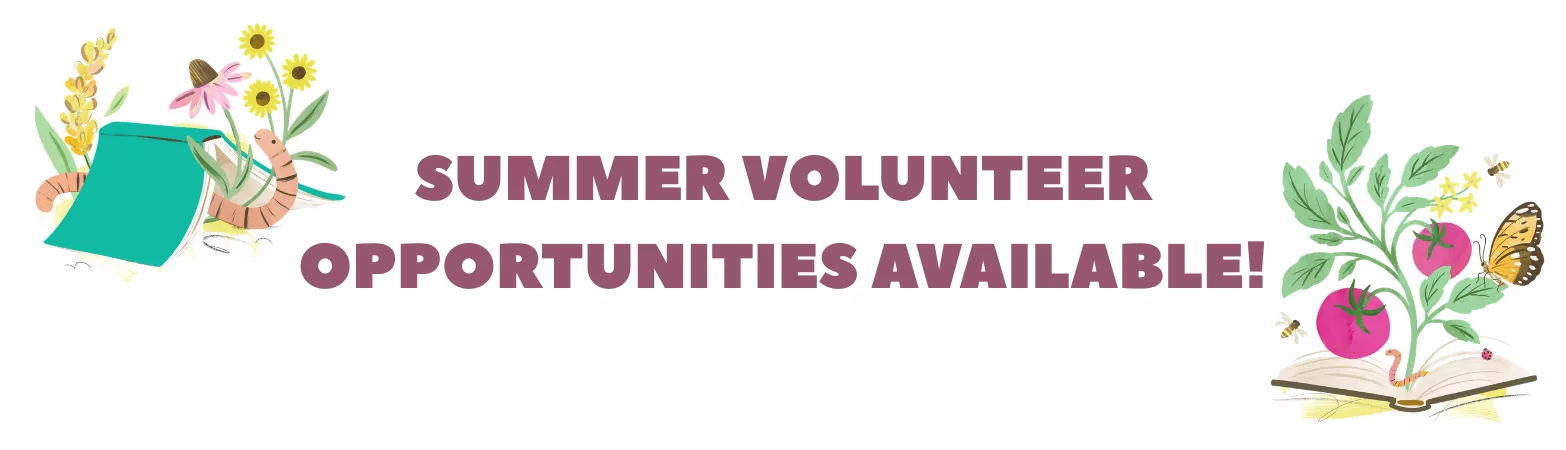 Summer volunteer opportunities are available